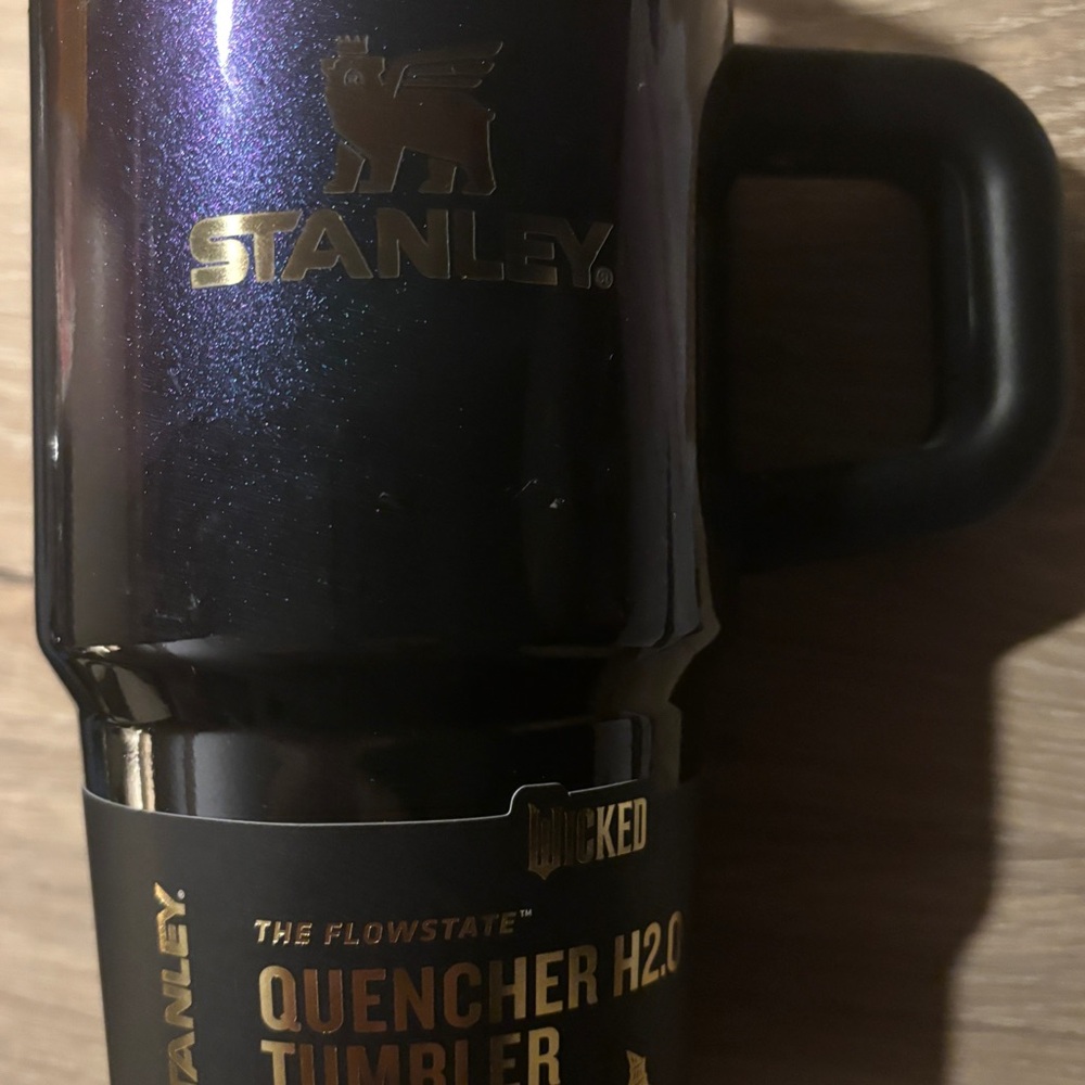Elphaba Stanley 20OZ NEW!